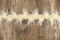 Buttercream Sequined Faux Fur Trim Remnant 1 yard 29 inches ATN01109